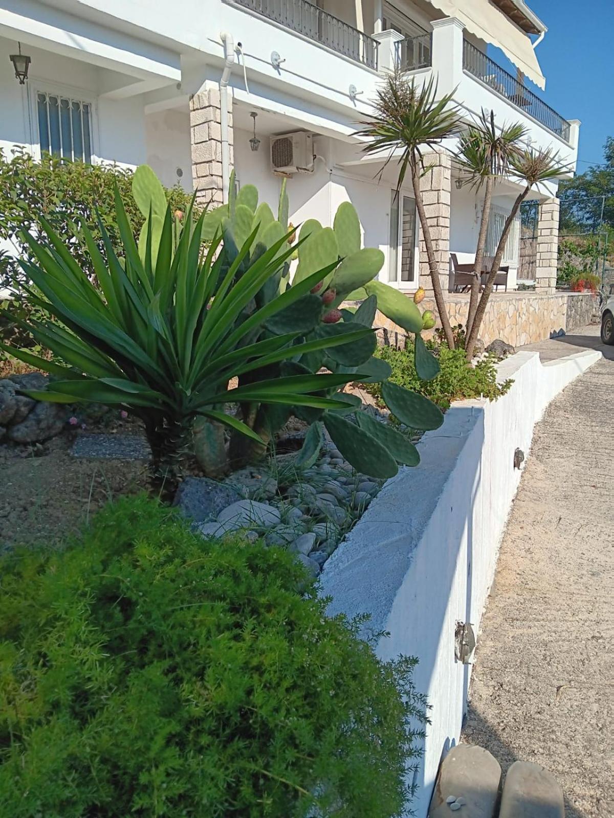 Appartement Bougainvillea コルフ島 エクステリア 写真